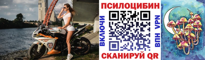 blacksprut как зайти  маркетплейс формула  Тюкалинск  Псилоцибиновые грибы Psilocybe  цена  